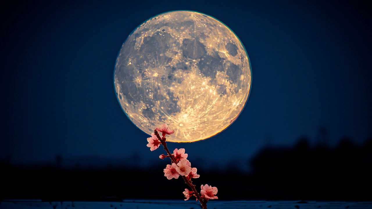 Luna Llena de Mayo 2024: Los mejores lugares para presenciar la Luna de las Flores