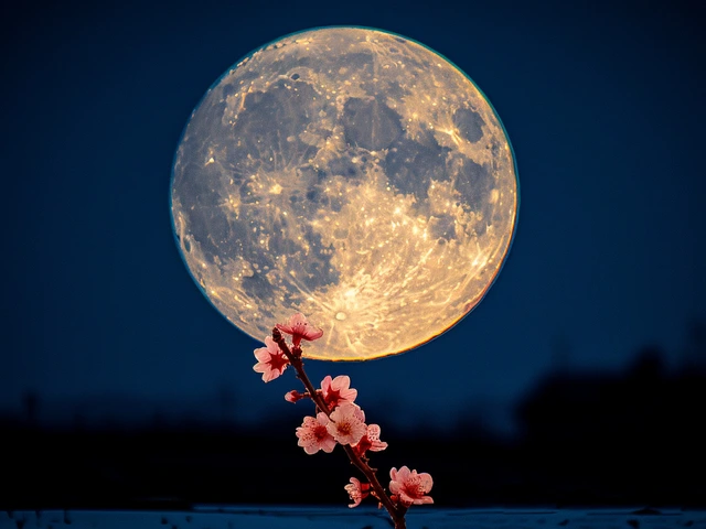 Luna Llena de Mayo 2024: Los mejores lugares para presenciar la Luna de las Flores